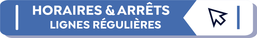 BOUTON LIGNES REGULIERES
