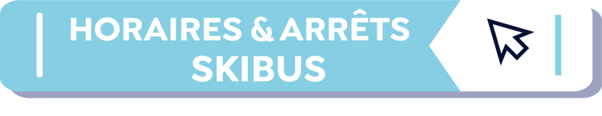 BOUTON SKIBUS
