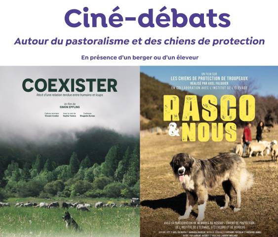 Retour des ciné-débats autour du pastoralisme