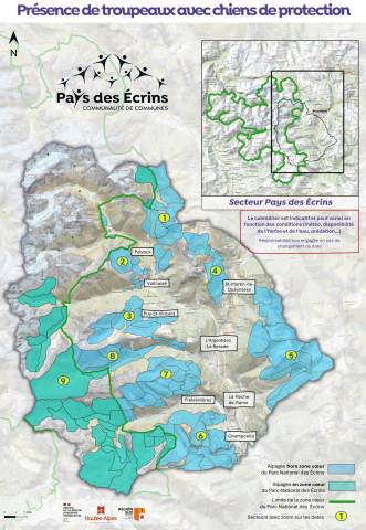 Carte chiens protection web