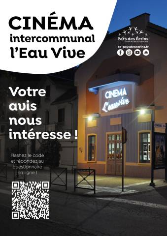 Questionnaire cinéma web